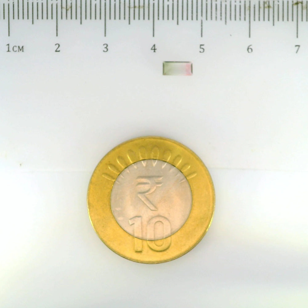 ITLGR_113282_SCALE.webp
