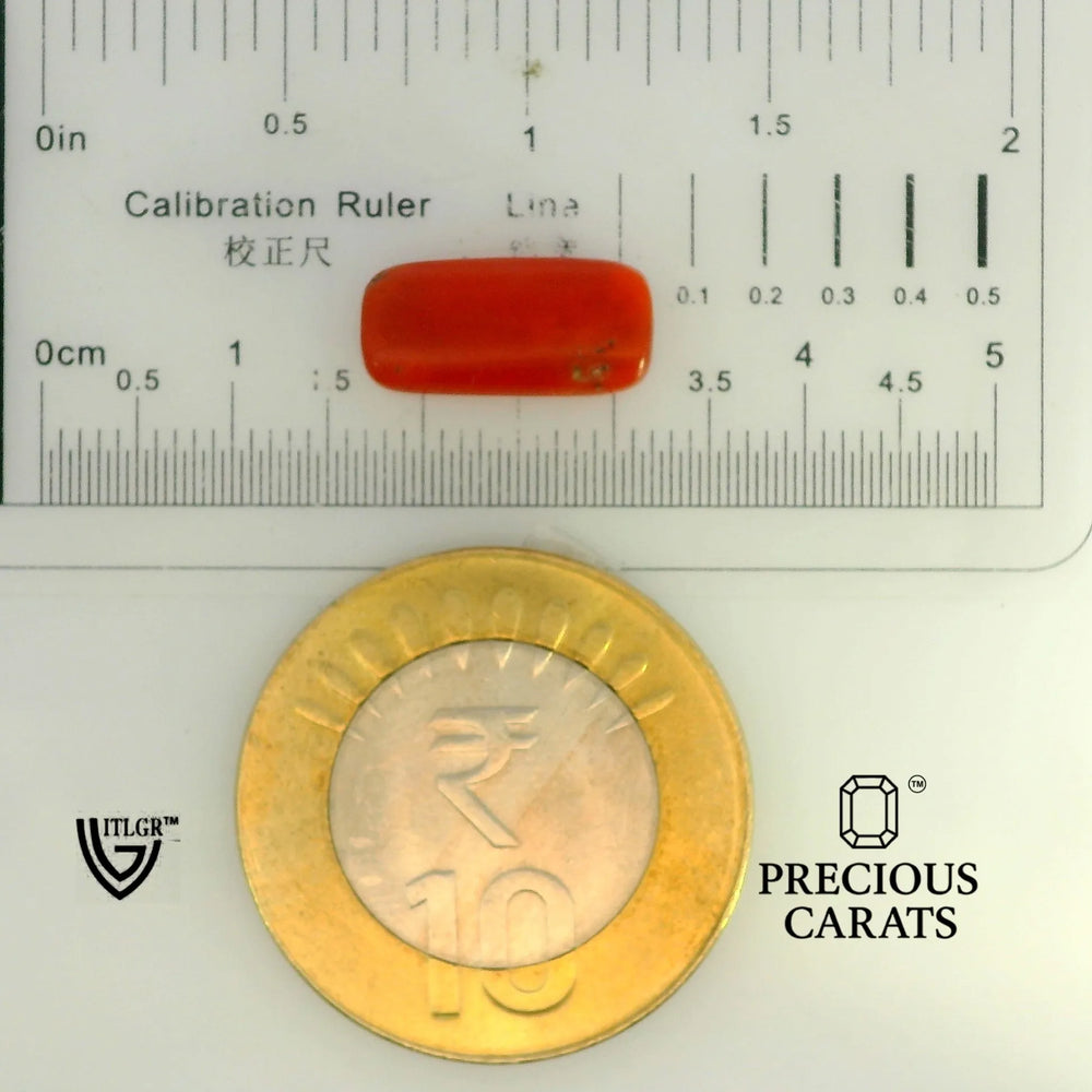ITLGR_104537_SCALE.webp