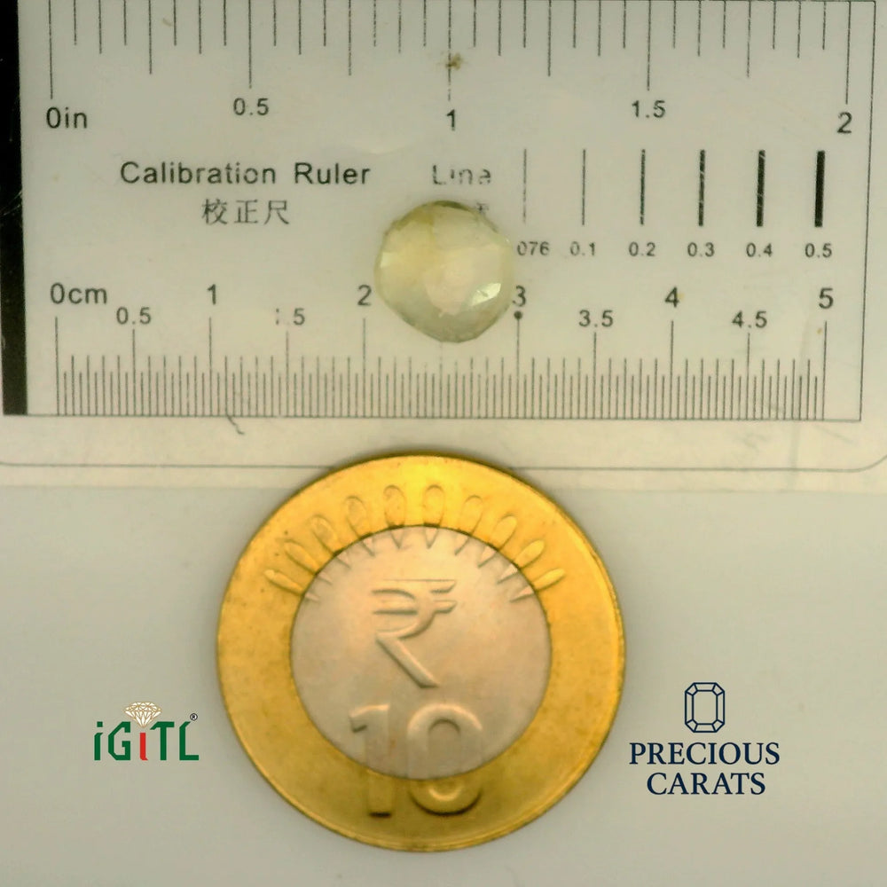 IGITL_197754_SCALE.webp