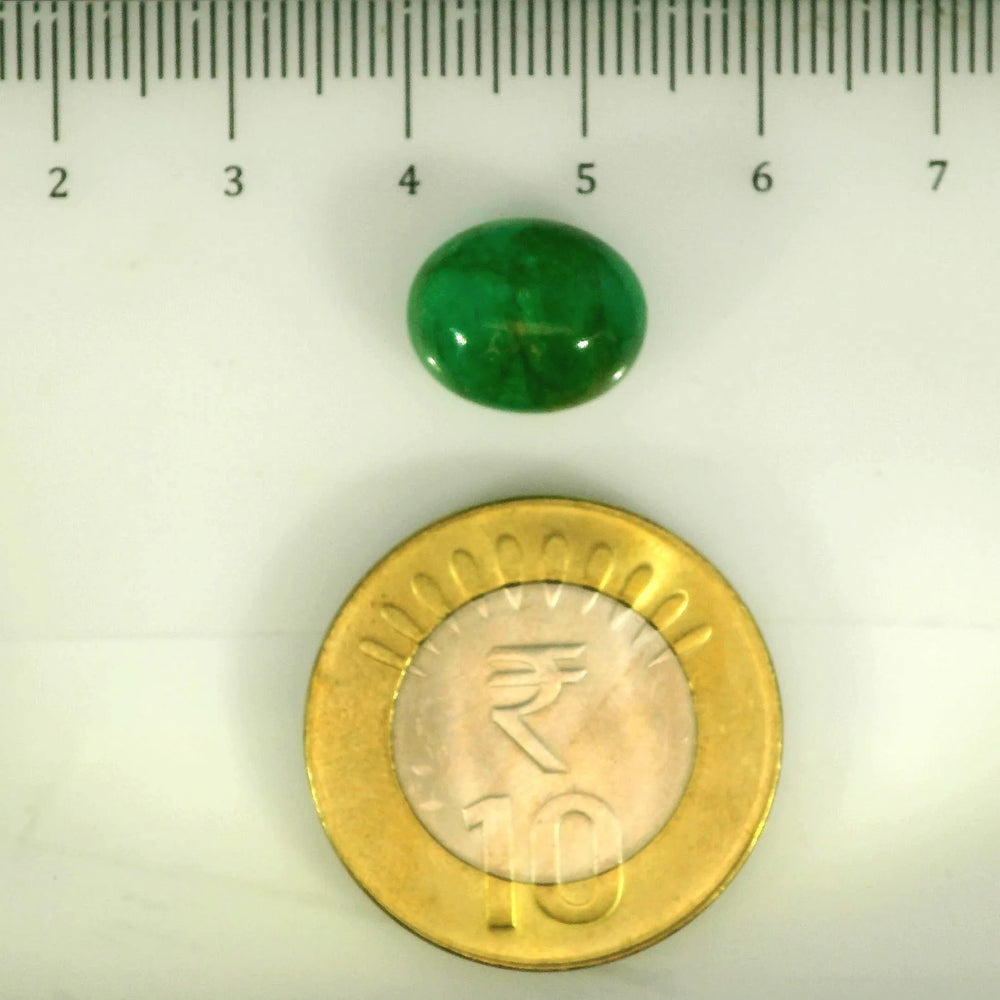 ITLGR_106828_SCALE.webp