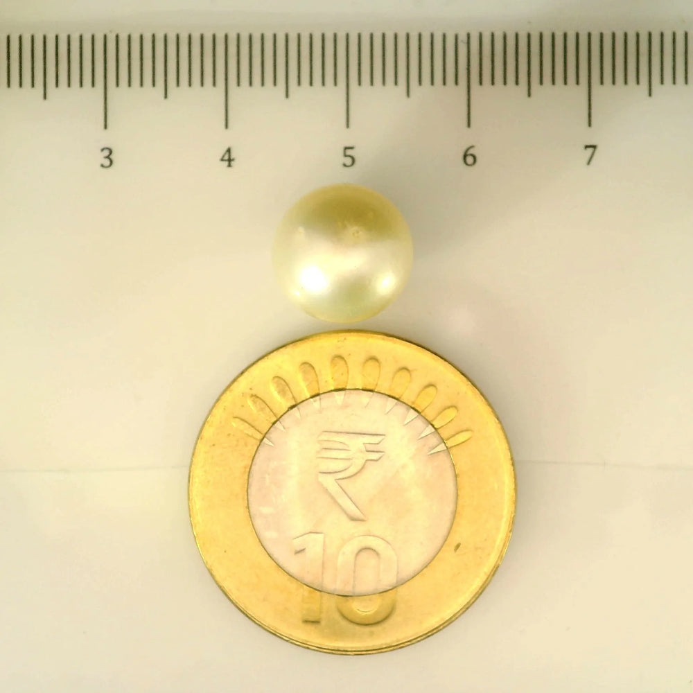 ITLGR_106914_SCALE.webp