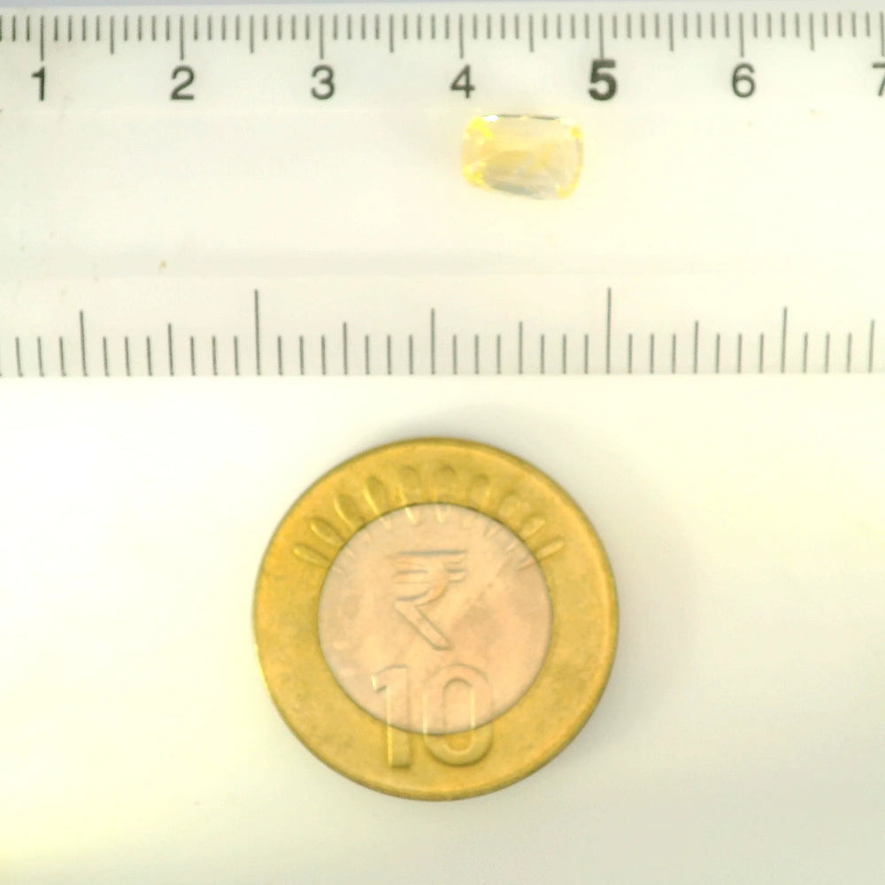 IIGJ_12879D53006_SCALE.webp