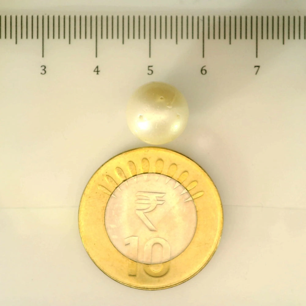 ITLGR_106930_SCALE.webp