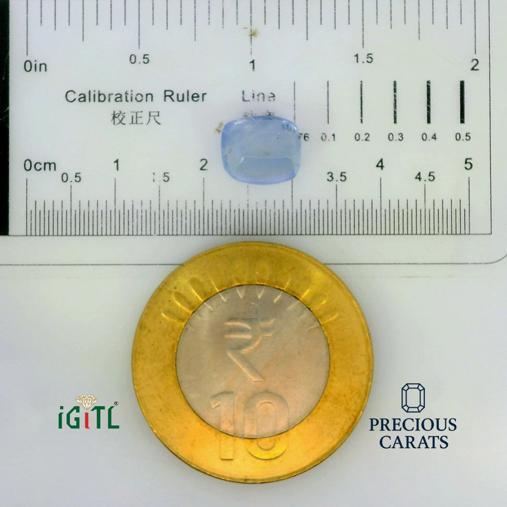 IGITL_197783_SCALE.webp