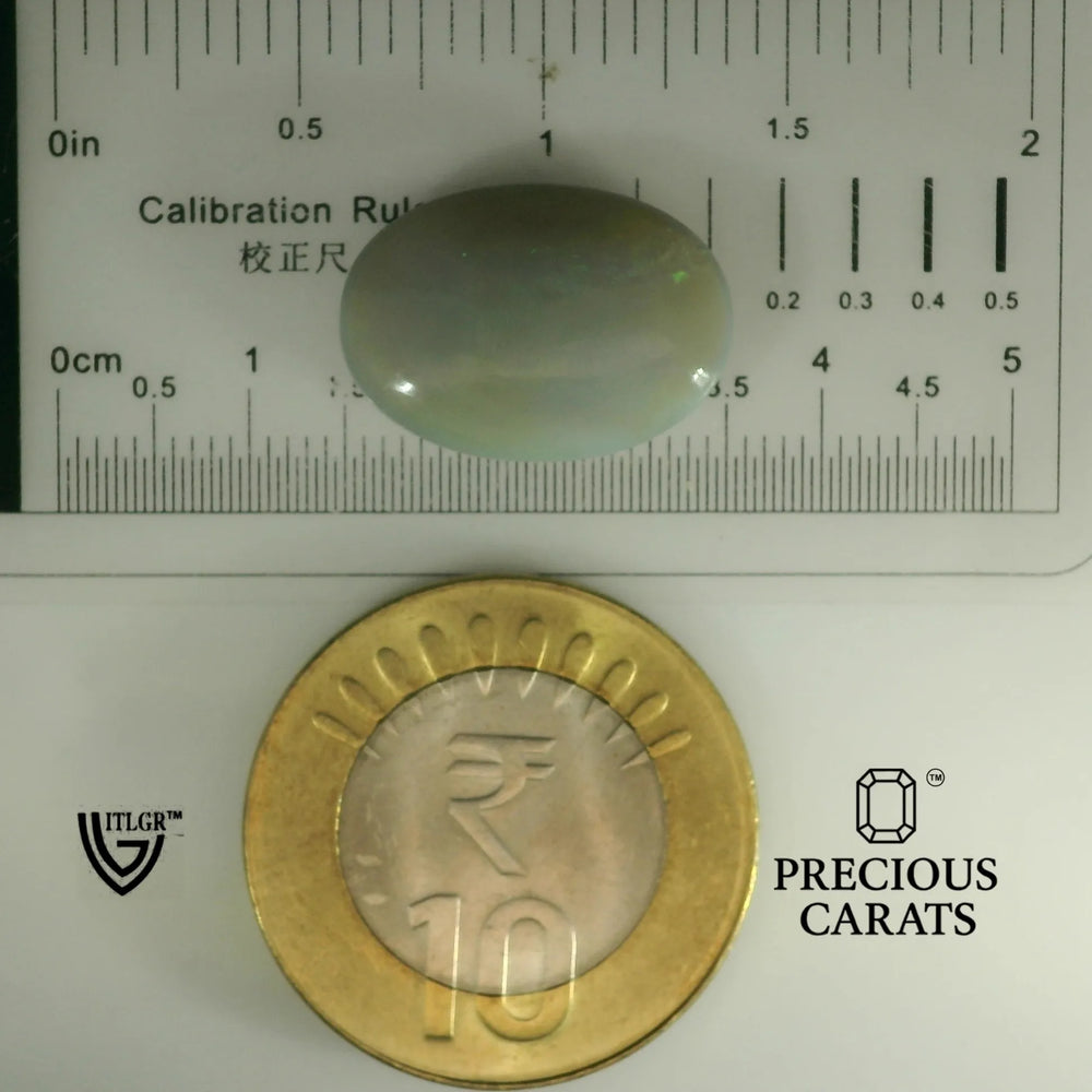 ITLGR_101933_SCALE.webp