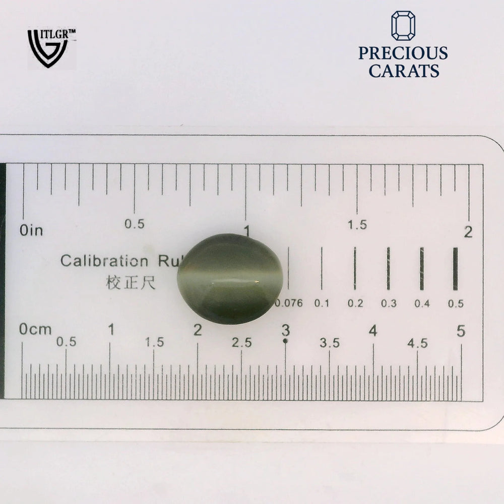 ITLGR_100590_SCALE.webp