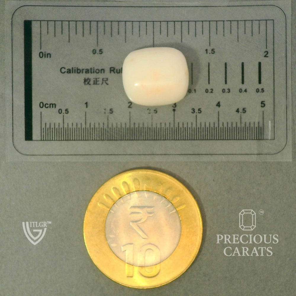 ITLGR_102020_SCALE.webp