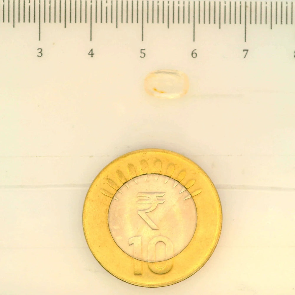ITLGR_104960_SCALE.webp
