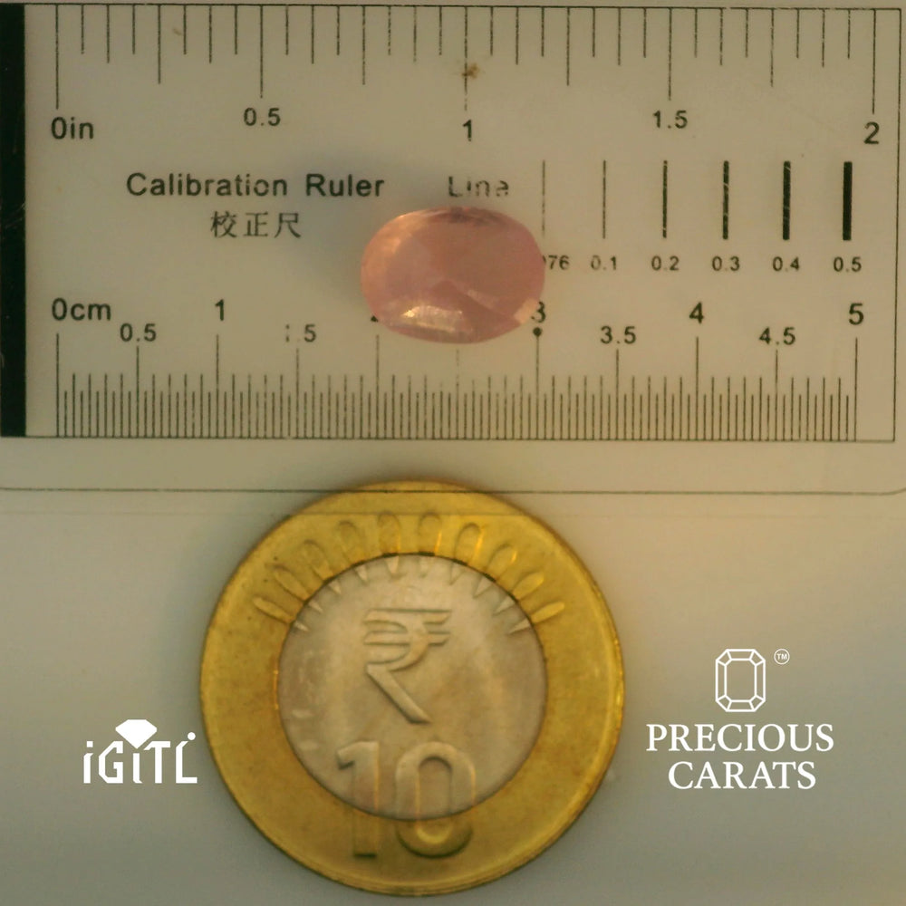 IGITL_197828_SCALE.webp