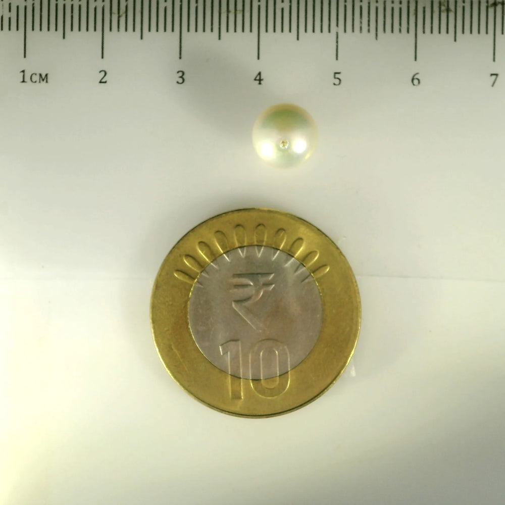 ITLGR_99859_SCALE.webp