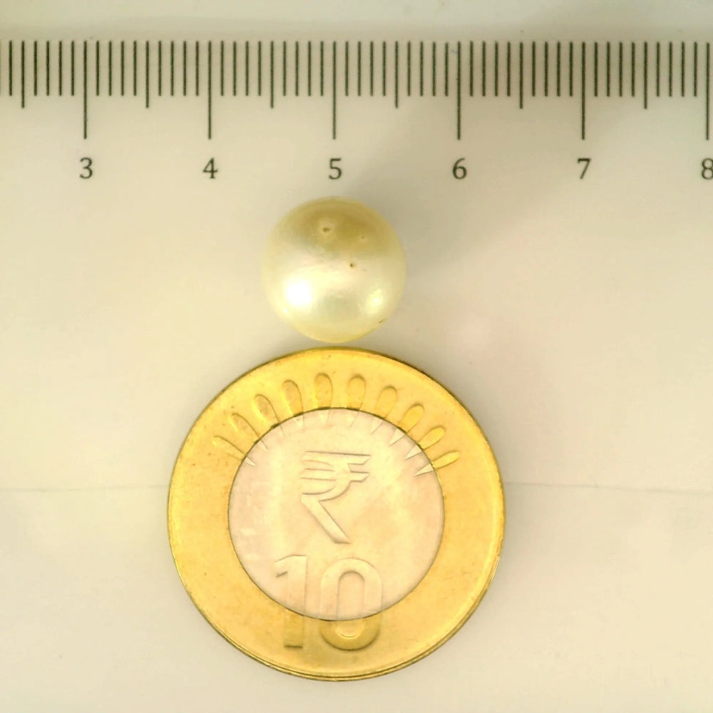 ITLGR_106939_SCALE.webp