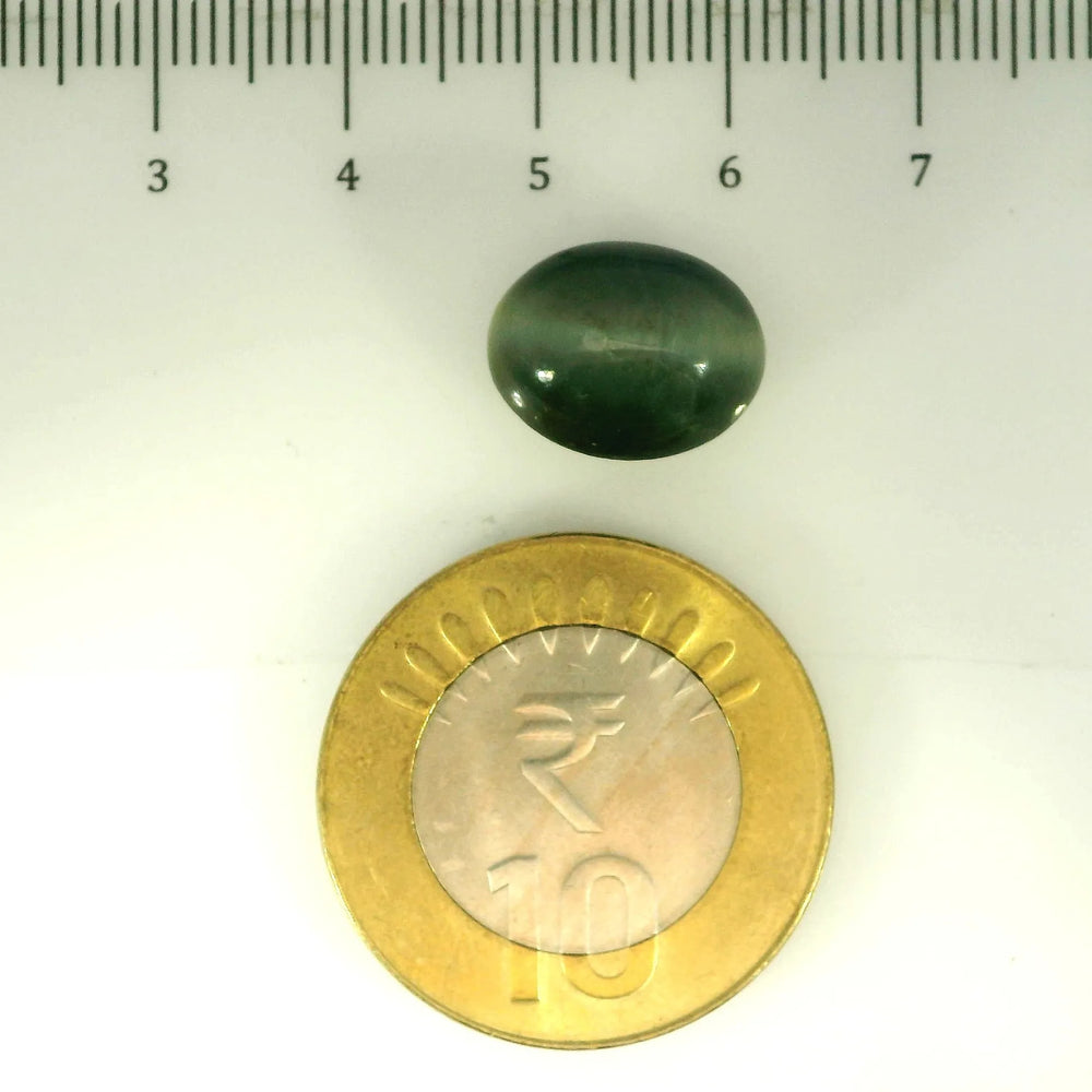 ITLGR_107050_SCALE.webp