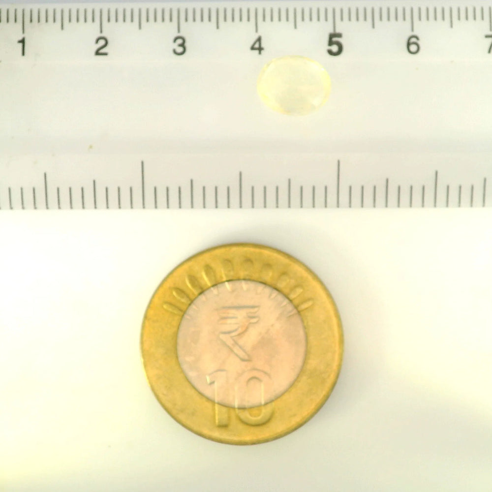 IIGJ_12879D52993_SCALE.webp