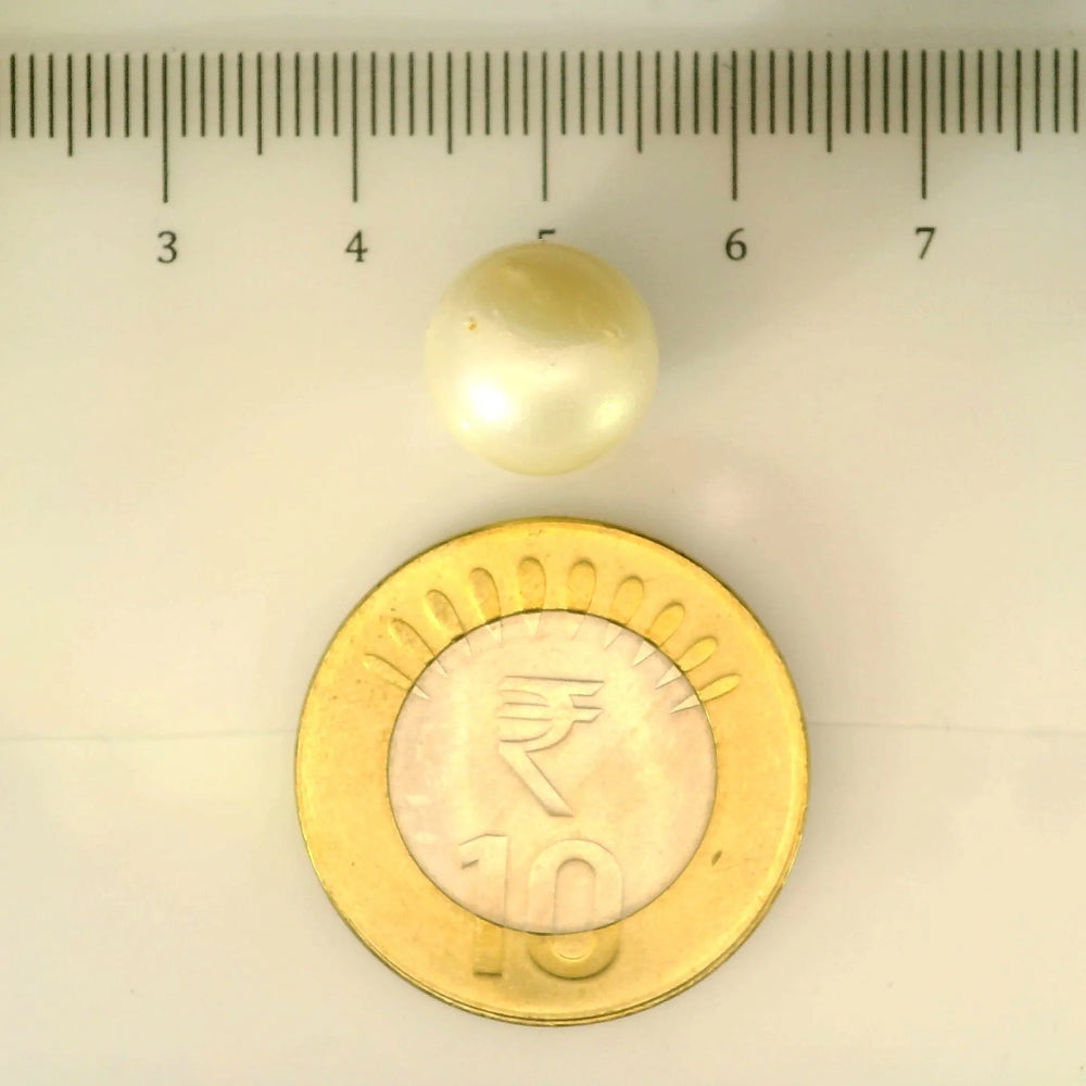 ITLGR_106904_SCALE.webp
