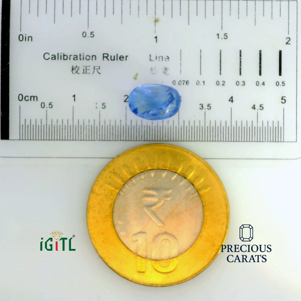 IGITL_197714_SCALE.webp