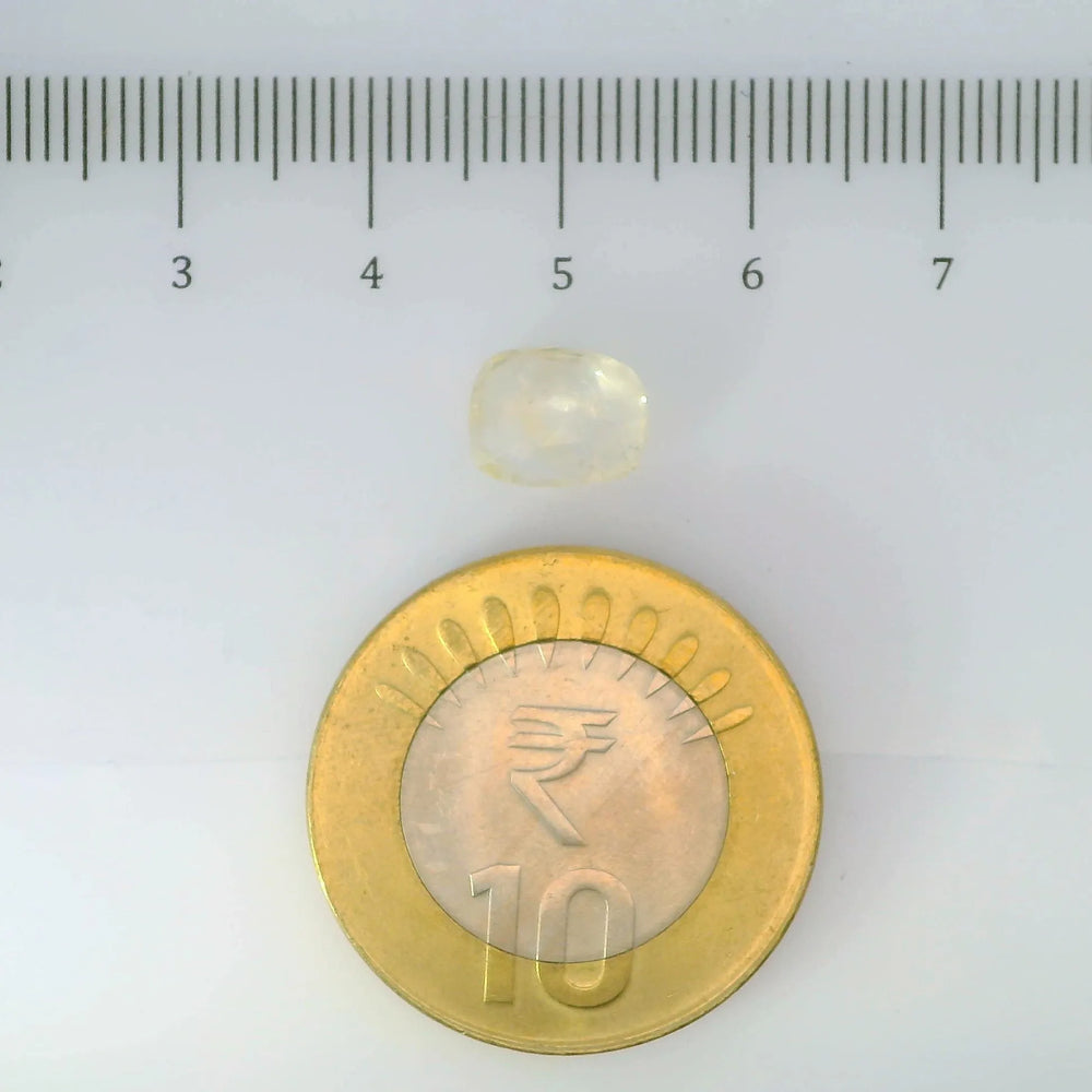 IGITL_200287_SCALE.webp
