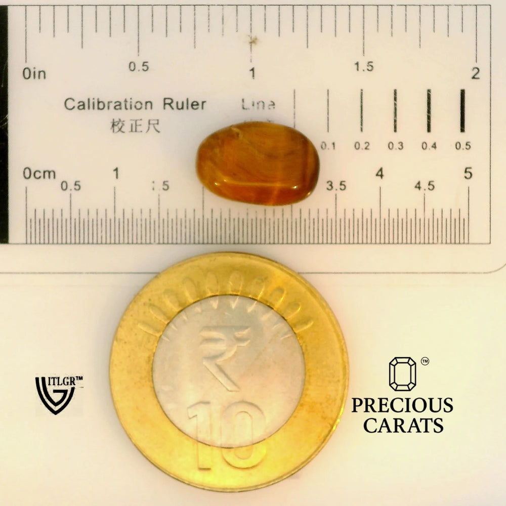 ITLGR_104460_SCALE.webp