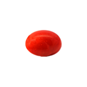 CORAL stone