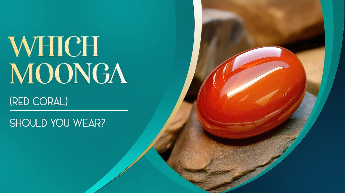 Which Moonga (Red Coral) Should You Wear? | PreciousCarats