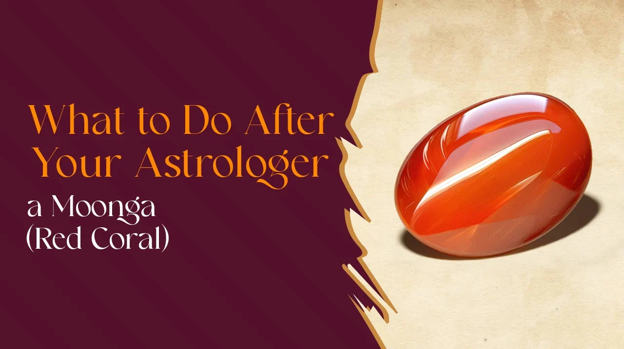 What to Do After Your Astrologer Recommends a Moonga (Red Coral)