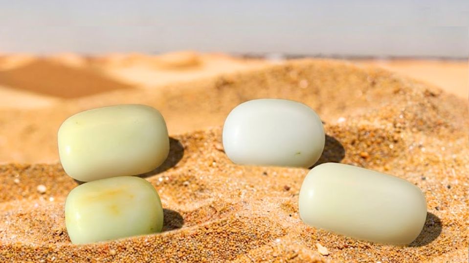 White Coral