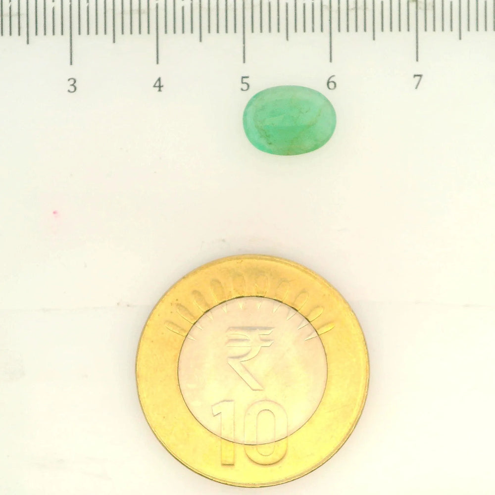 AGR_88379_SCALE.webp