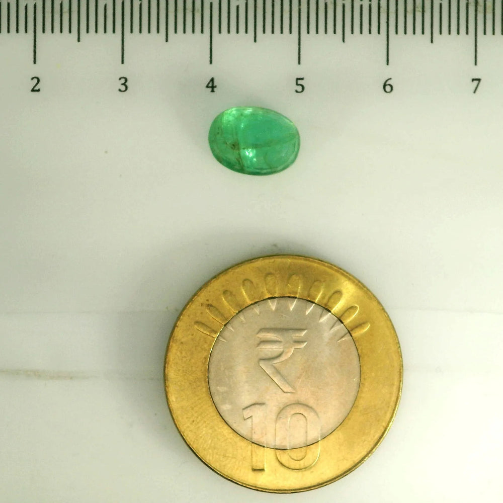AGR_88386_SCALE.webp