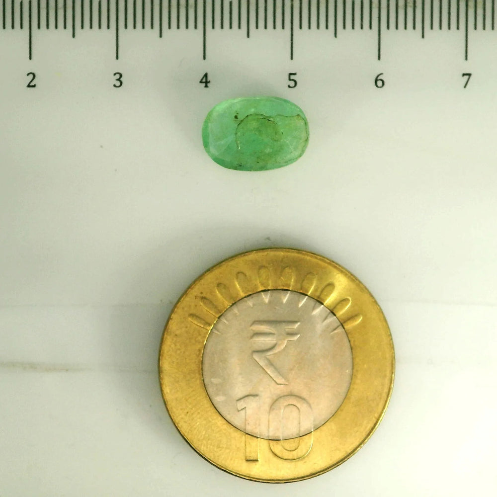 AGR_88387_SCALE.webp