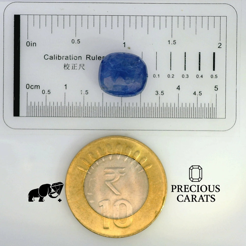 GFCO_33925-12_SCALE.webp