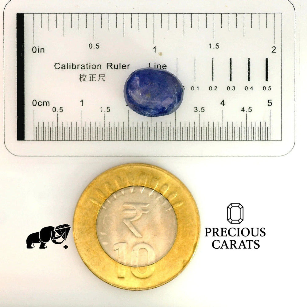 GFCO_33925-19_SCALE.webp