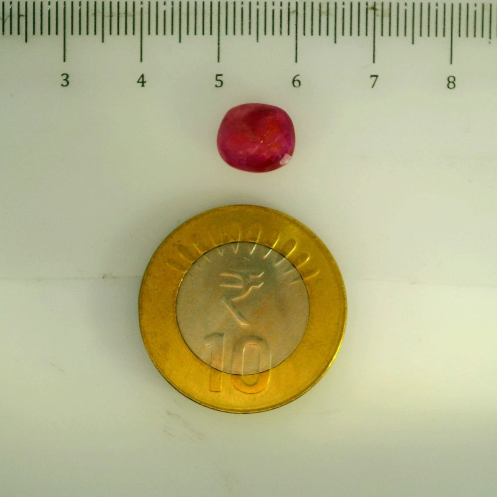 GFCO_39059_10_SCALE.webp
