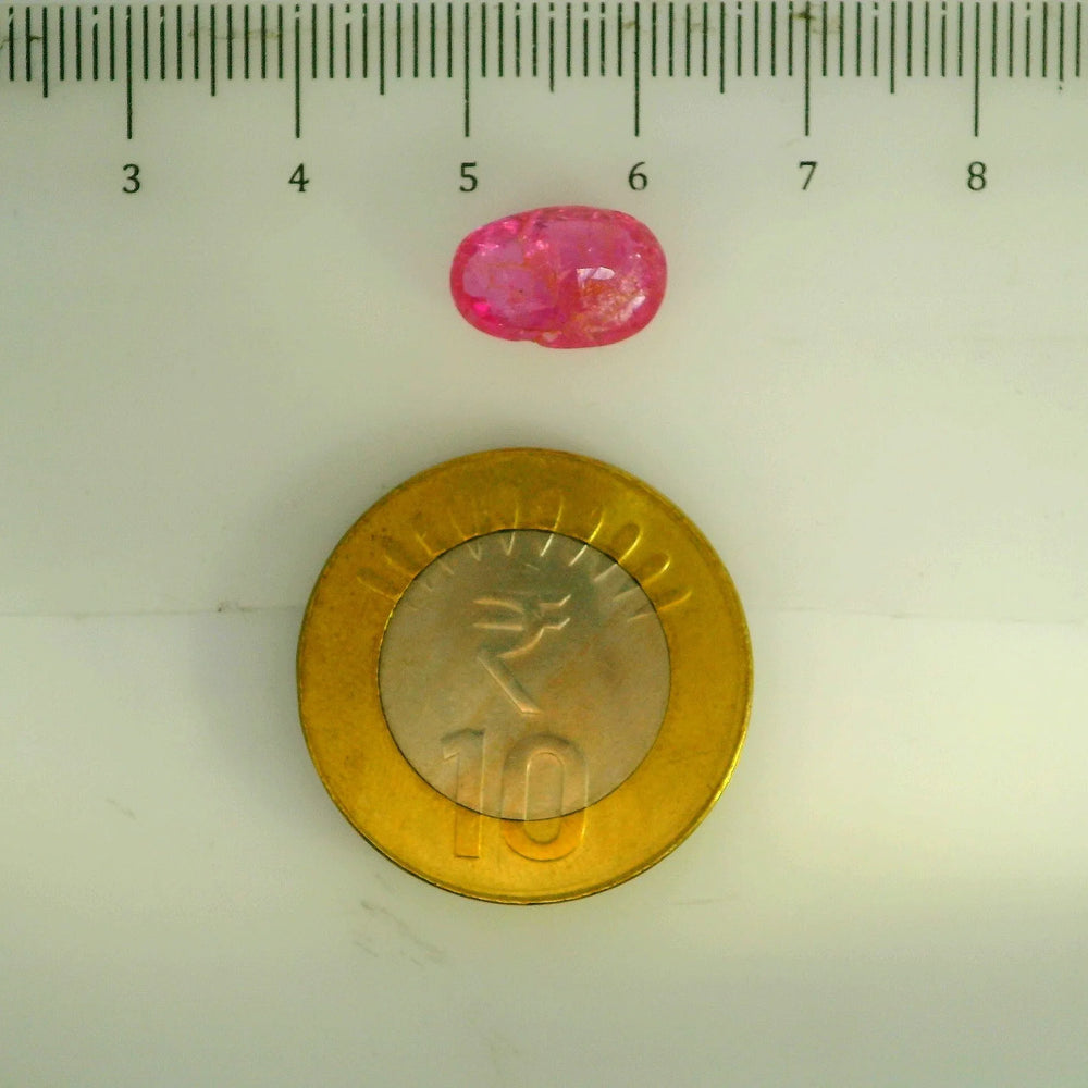 GFCO_39059_13_SCALE.webp