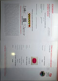 GFCO_39059_16_CERTIFICATE.webp