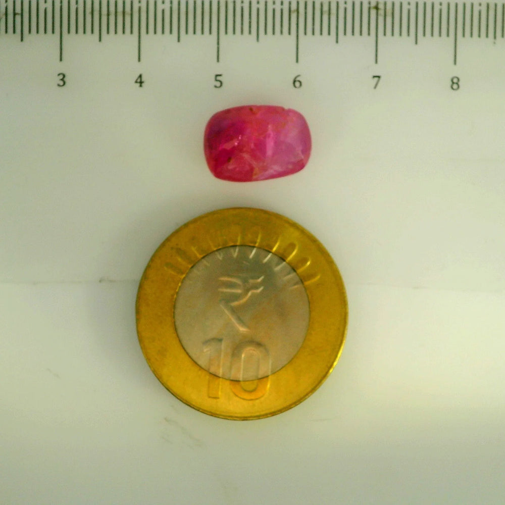 GFCO_39059_16_SCALE.webp