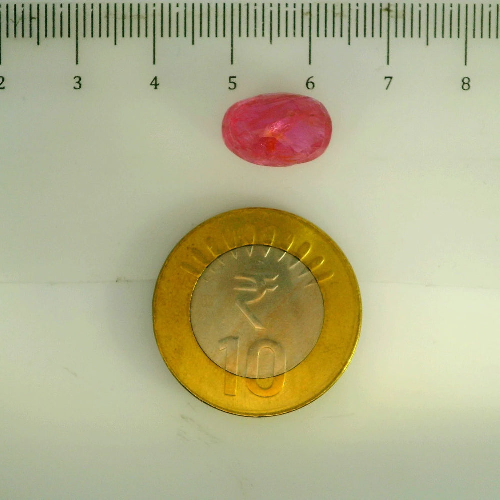 GFCO_39059_19_SCALE.webp