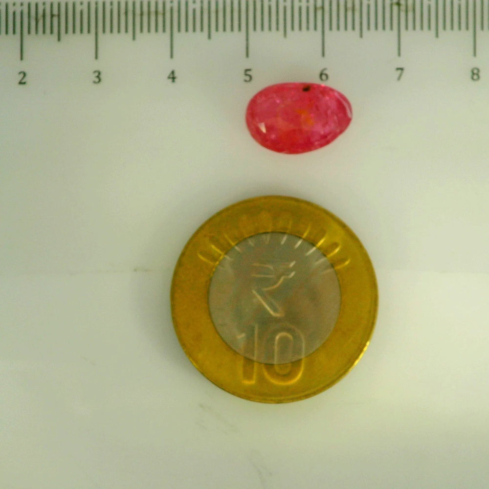 GFCO_39059_30_SCALE.webp