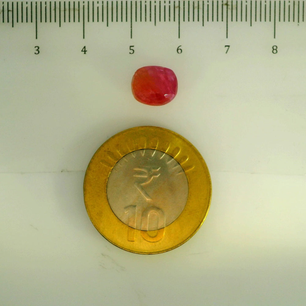 GFCO_39059_8_SCALE.webp