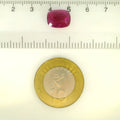 GSI_74531430101_SCALE.webp
