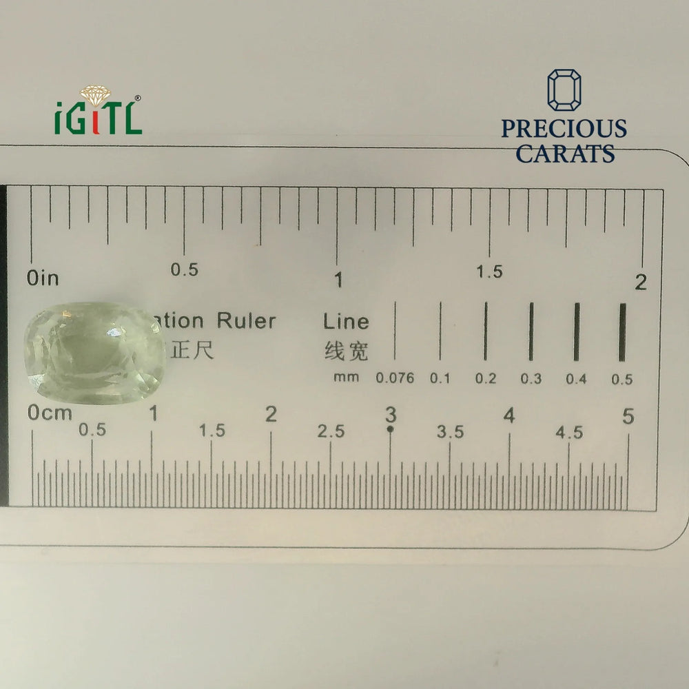 IGITL_194727_SCALE.webp