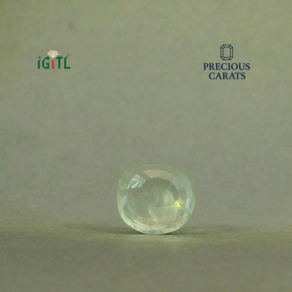 IGITL_197732_BACK.webp