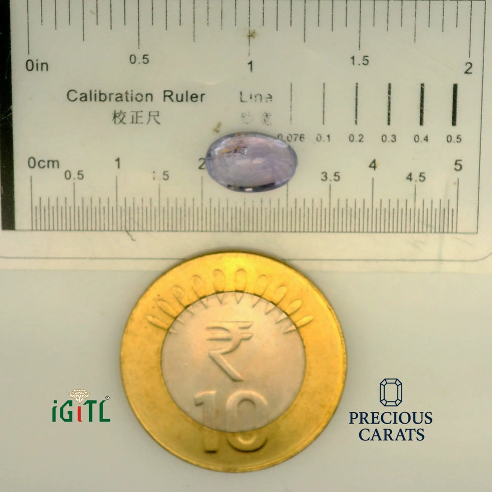 IGITL_197768_SCALE.webp