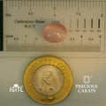 IGITL_197824_SCALE.webp