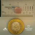 IGITL_197825_SCALE.webp