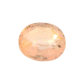 IGITL_197831_FRONT.png