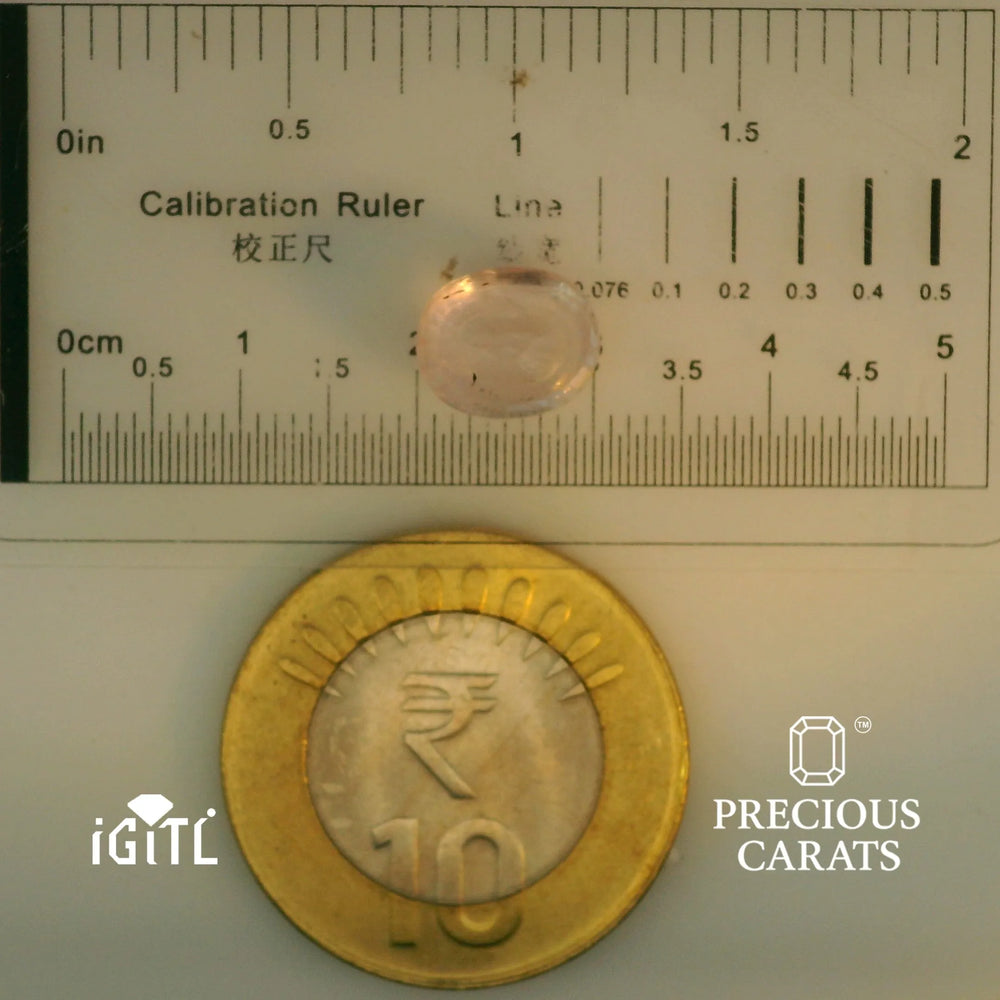 IGITL_197831_SCALE.webp