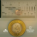 IGITL_197831_SCALE.webp