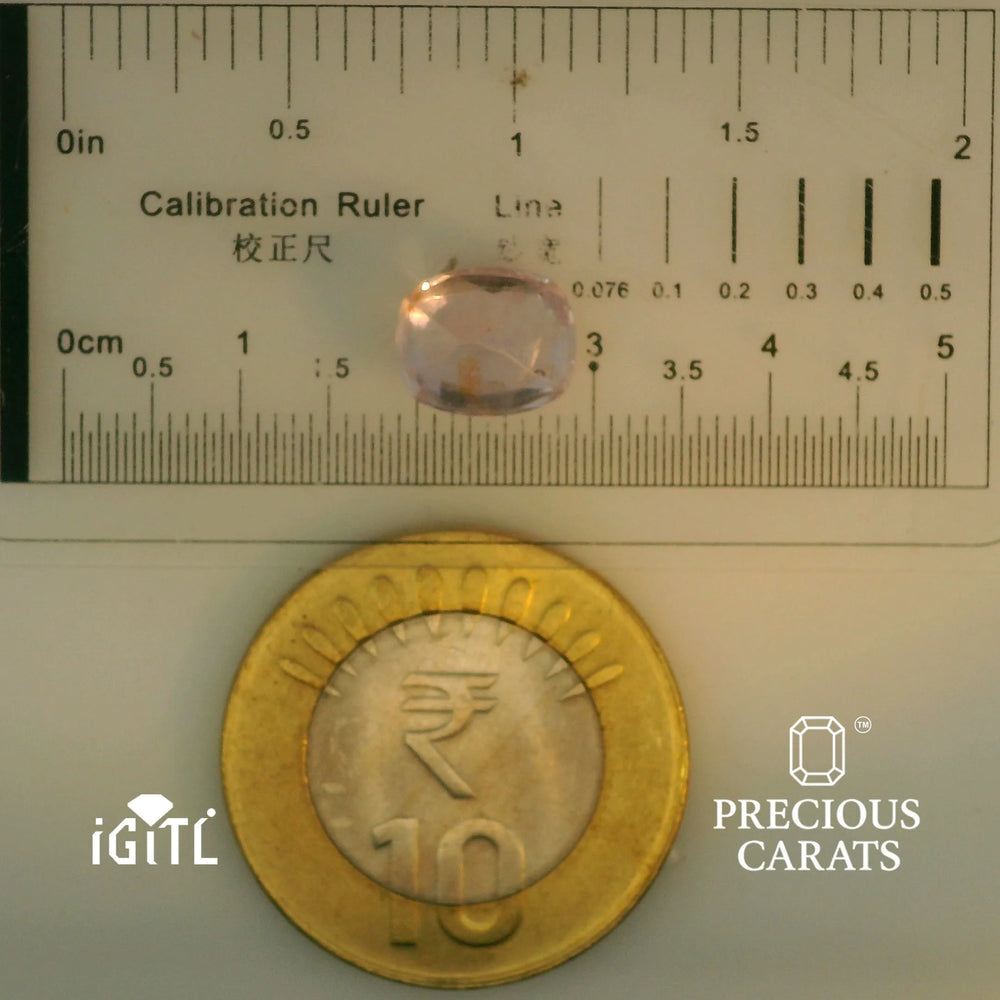 IGITL_197832_SCALE.webp