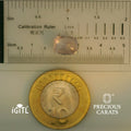 IGITL_197833_SCALE.webp