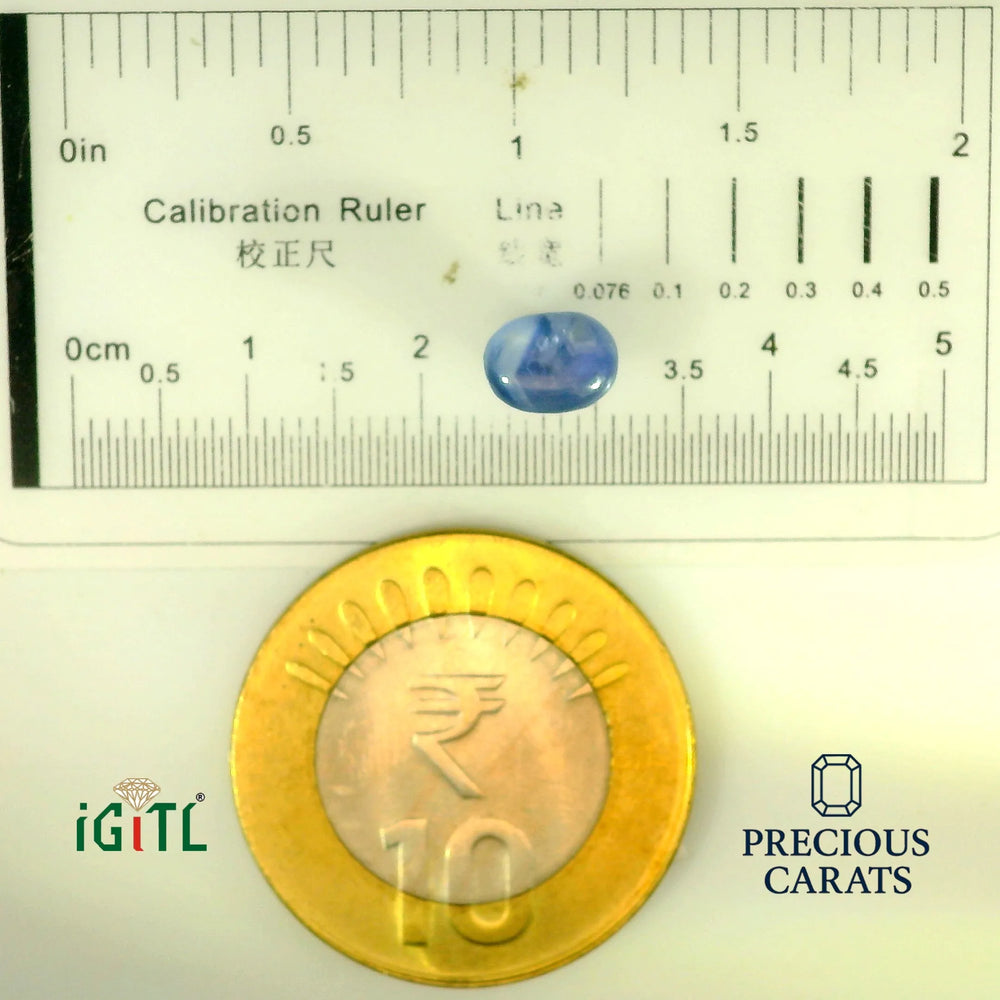 IGITL_197840_SCALE.webp