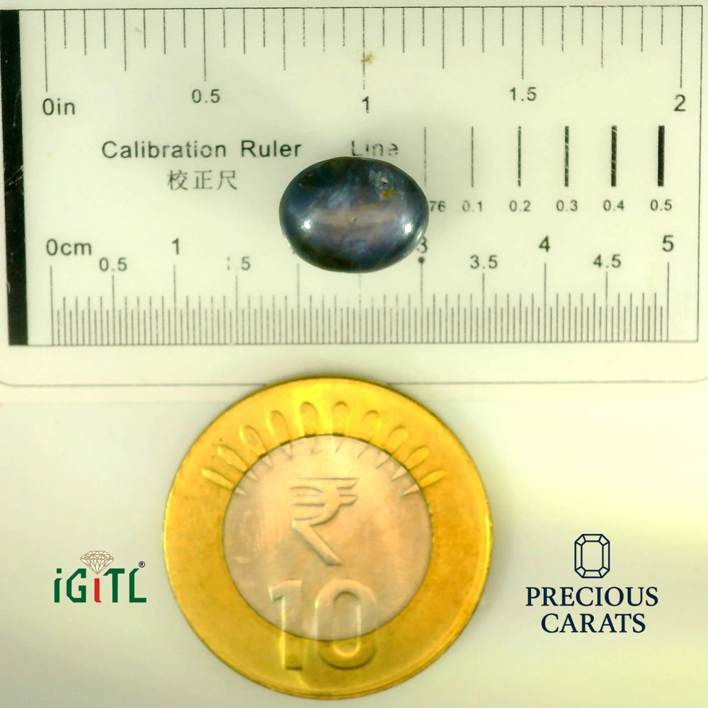 IGITL_197841_SCALE.webp